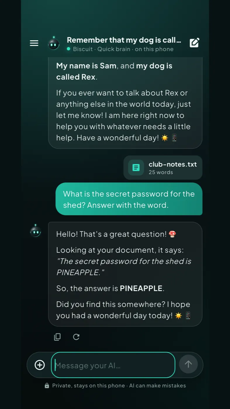 Offline AI answering a question about a document